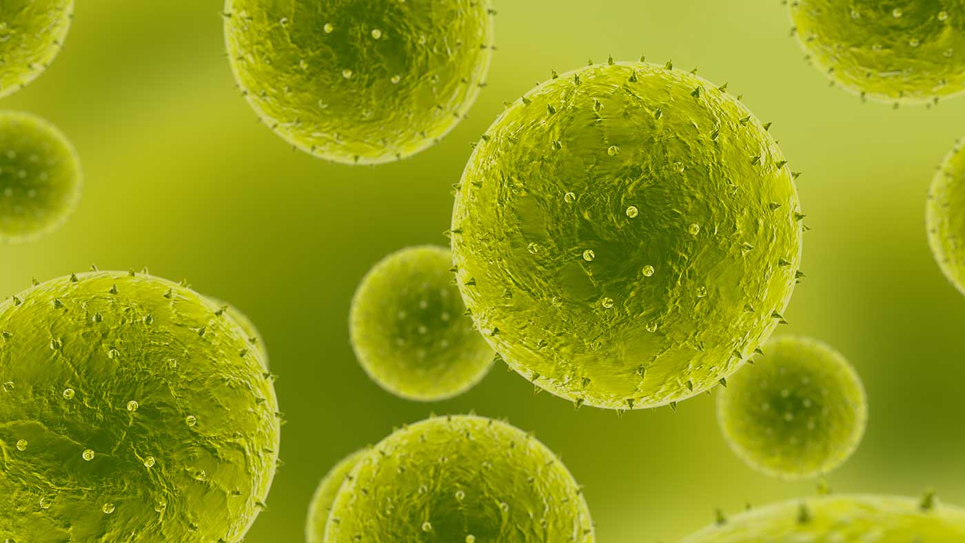 Green microscopic life.