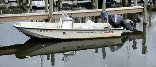 Boston Whaler #1