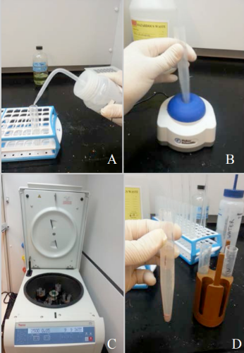 chemical addition or water washing steps (figure 3A-D)