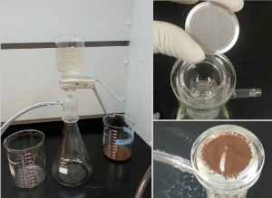 figure 7: Left: filtration setup. Right top: metal screen atop funnel and below storage vessel. Right bottom: large debris caught by 40 µm filter on metal screen
