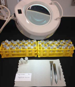 figure 2: workstation set up