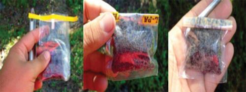 figure 5: sealing the whirl-pack-bag