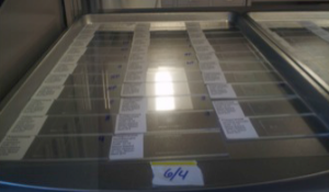 figure 8: slides on level tray