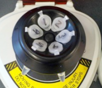 figure 3: tubes in microcentrifuge