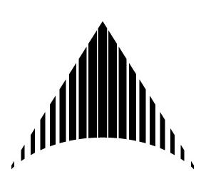 autonomy arrow head