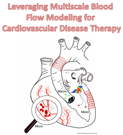 Leveraging Multiscale blood Flow Modeling for Cardiovascular Disease Therapy