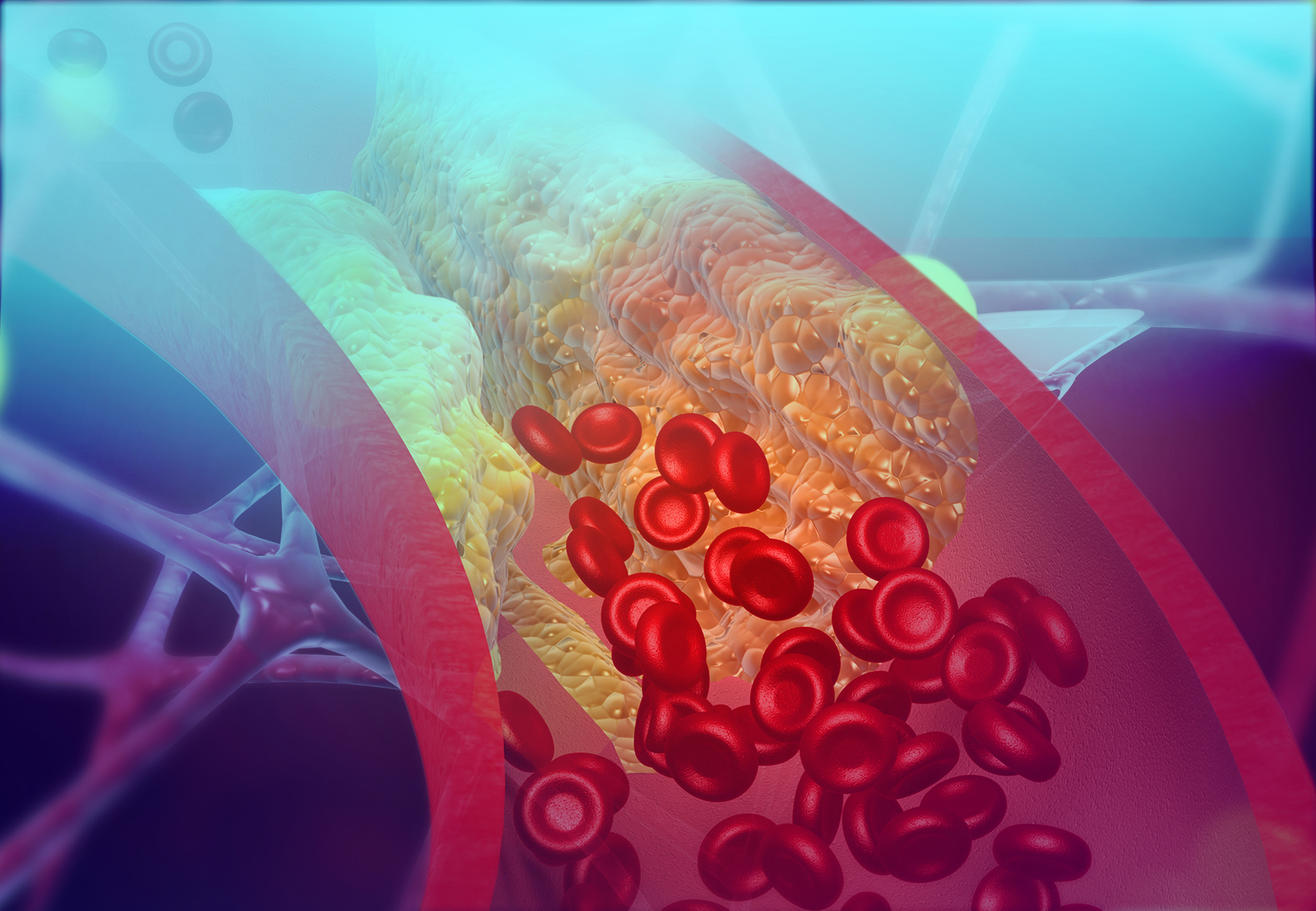 Red Blood Cells in the body