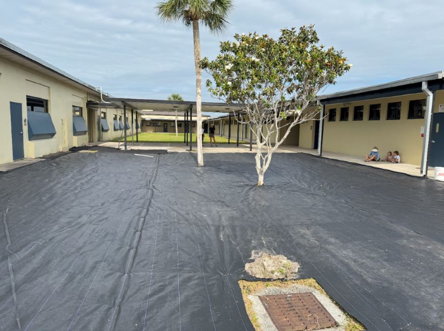 community science gallery image