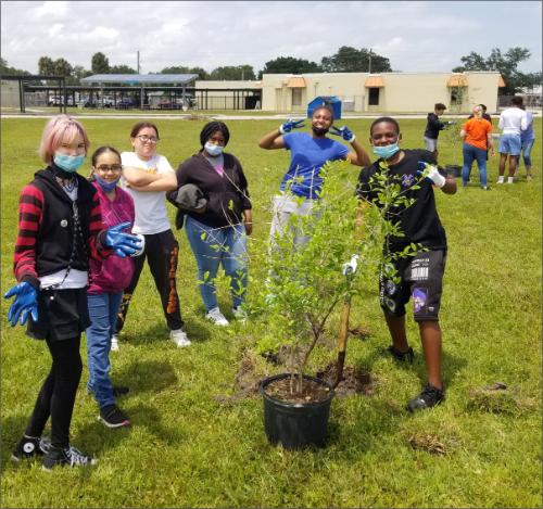 students planting a tree