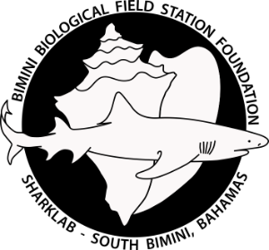 Bimini Biological Field Station Foundation