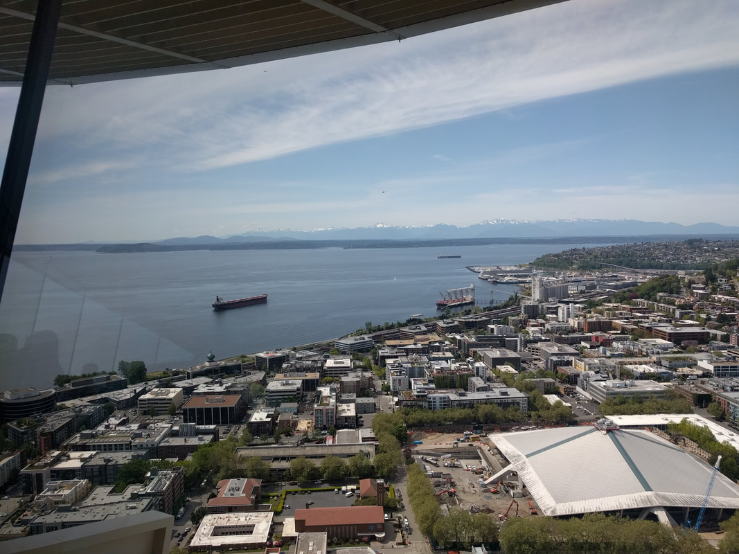 View of Puget Sound from the Space Needle. For science.