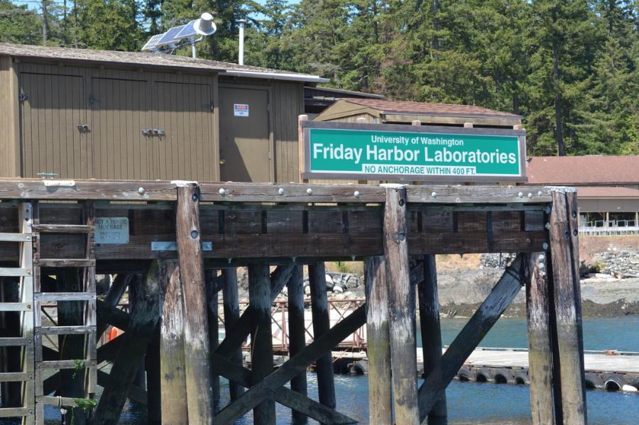 Friday Harbor Laboratories