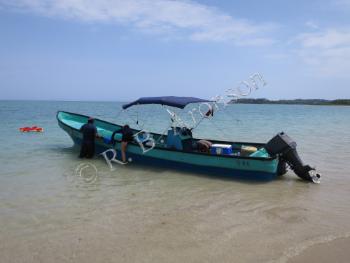 Coral-reef researchers preparing to travel to a field site in the Gulf of Chiriquí.”