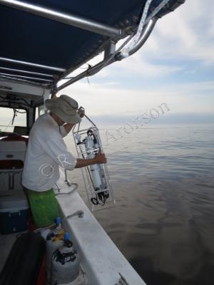 A scientist in Panama deploys oceanographic instruments, including a CTD, which measures the conductivity (salinity), temperature, and depth of the ocean. Note the ‘brown tide’ in the water below the boat.” 