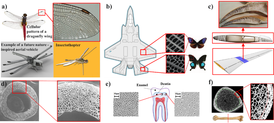 examples of metacomposites