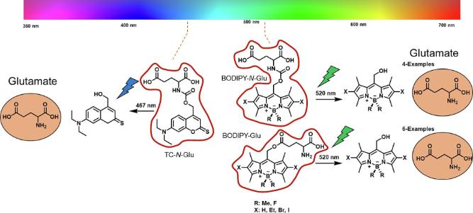 PhotoChem and PhotoBiol