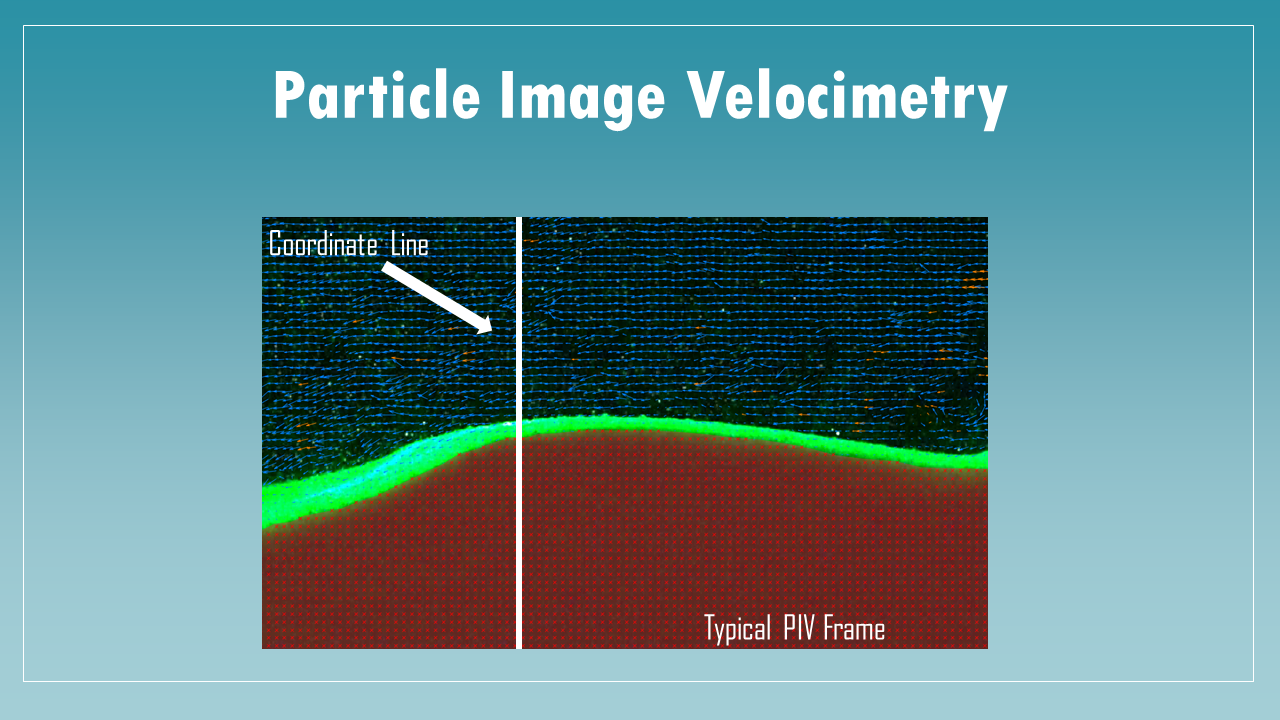 Typical Particle Image Velocimetry frame showing coordinate line and particle distribution