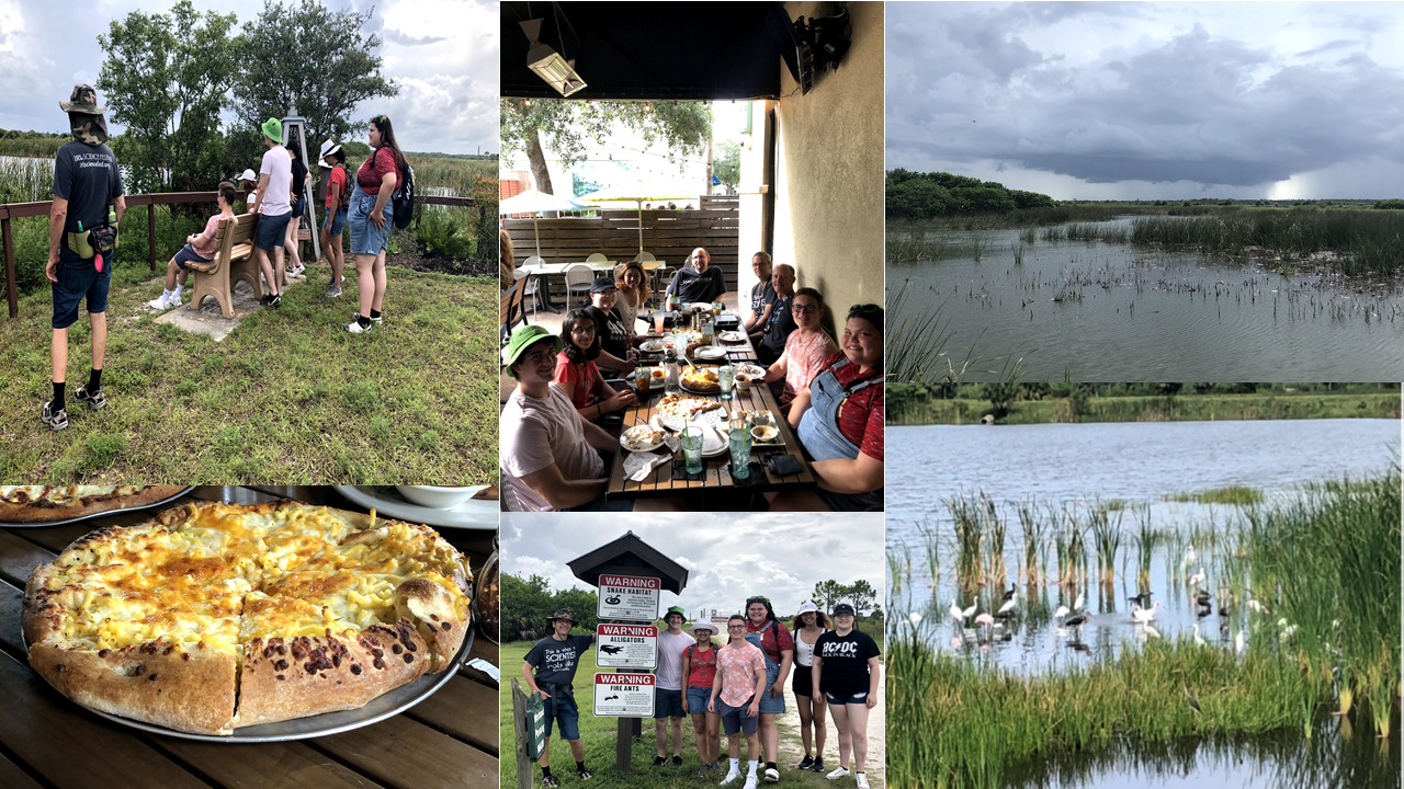 Moments during wetland outing - observing wildlife and enjoying a tasty lunch